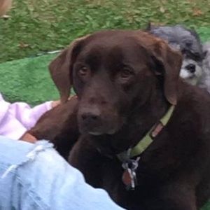 Meet your Posher, Judy